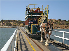 horse-drawn tram