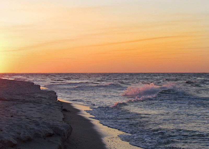 Pink Wave at Sunrise