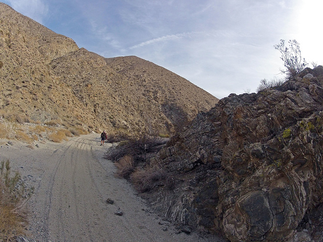 Long Canyon (41155)