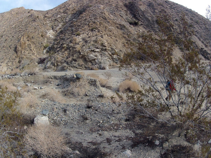 Long Canyon (41185)