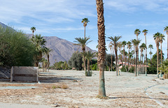 Palm Springs, former Whitewater Country Club (0798)