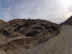 Long Canyon (41252)