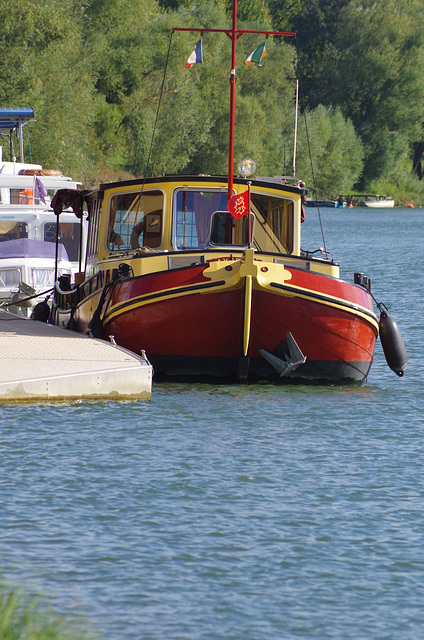 ballade sur les bords de Saône