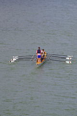 ballade sur les bords de Saône