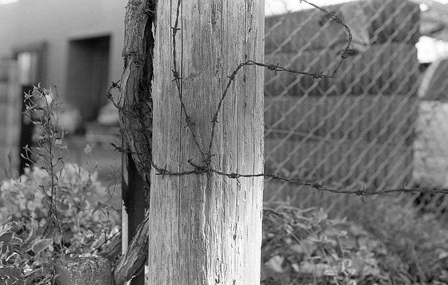 Barbed wire