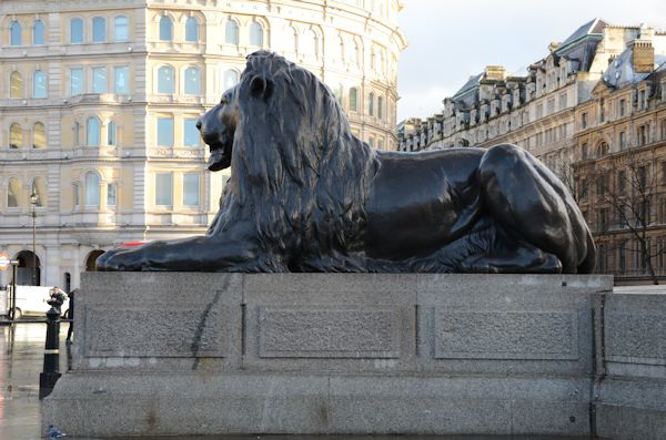 A Landseer lion