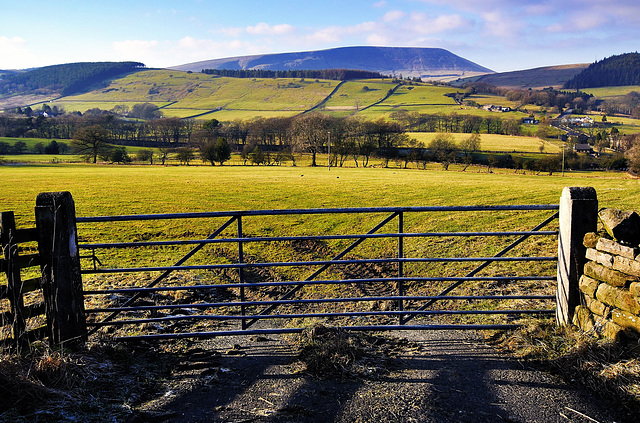 Pendle view.