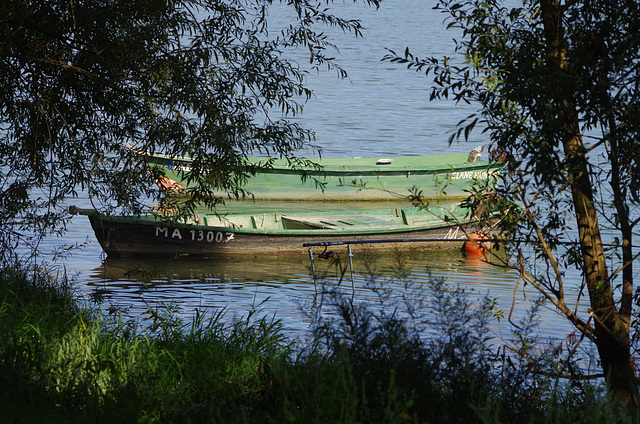 ballade sur les bords de Saône