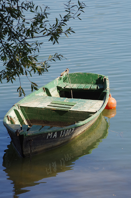 ballade sur les bords de Saône