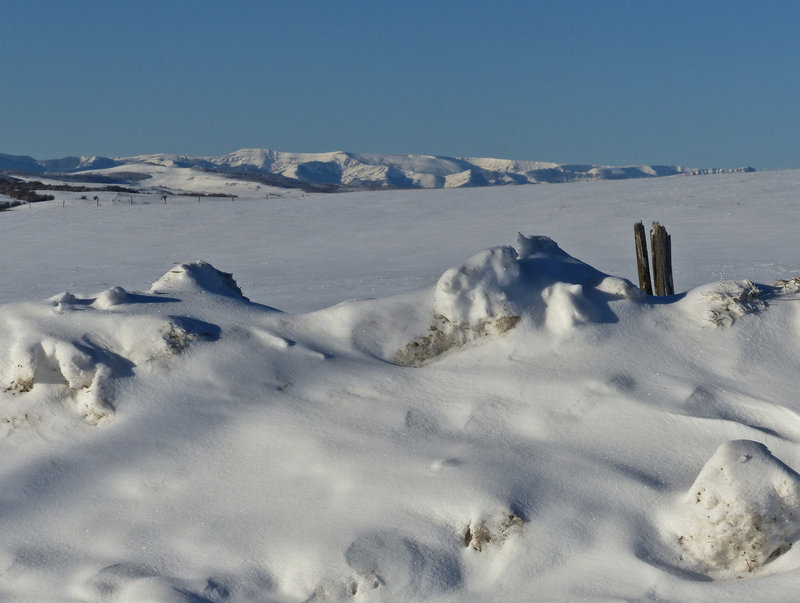 Snow, snow and more snow