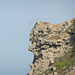 La Franqui