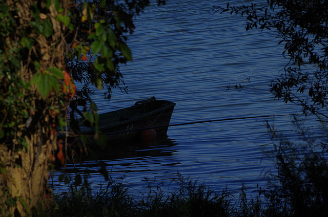 ballade sur les bords de Saône