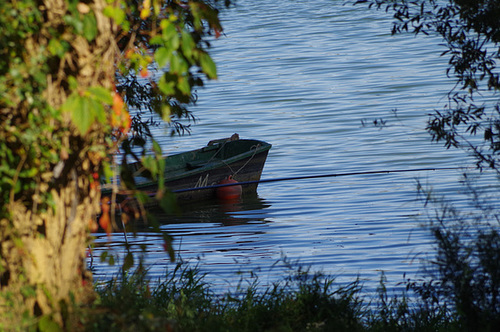 ballade sur les bords de Saône