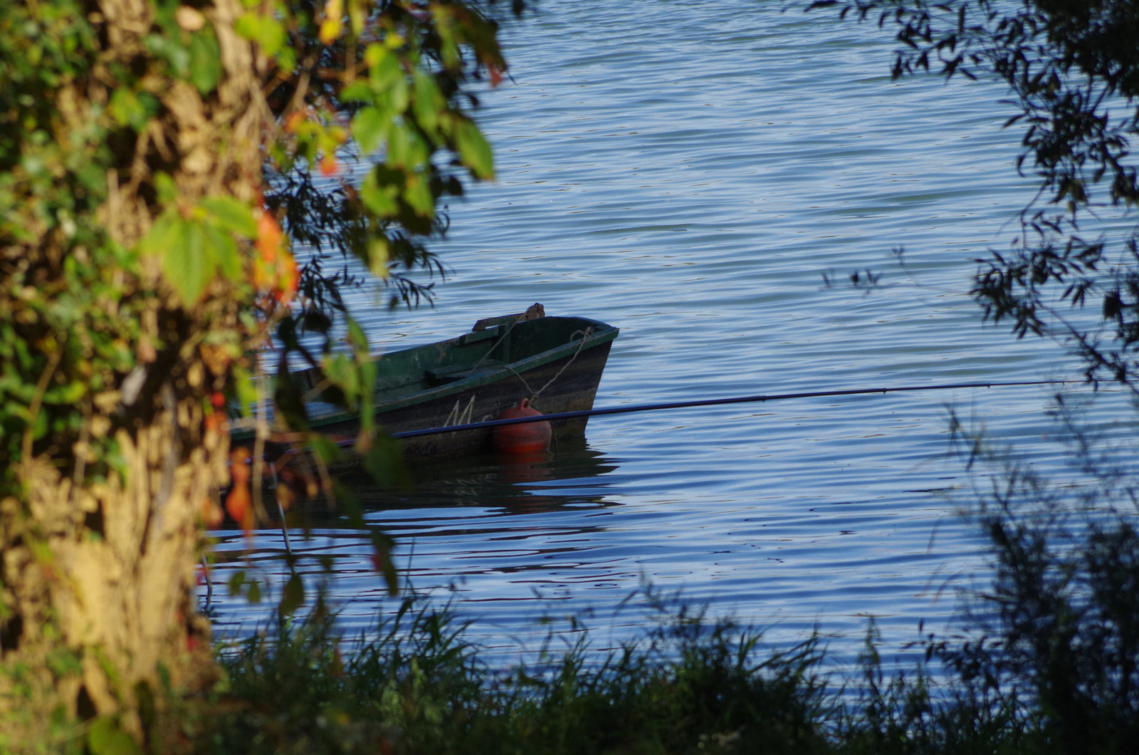 ballade sur les bords de Saône