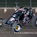 IMG_9534 copy