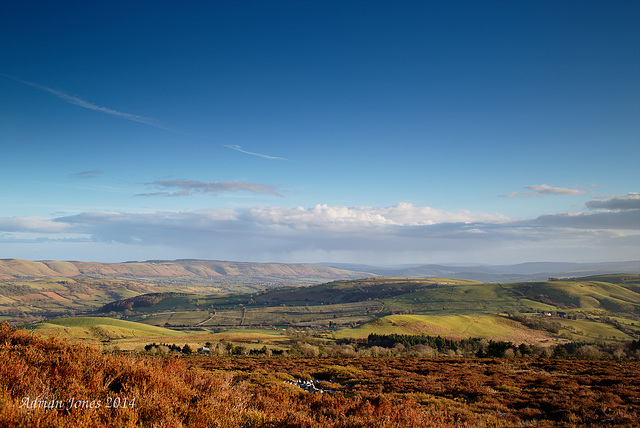 Stiperstones View