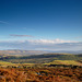 Stiperstones View