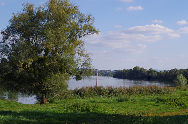 ballade sur les bords de Saône