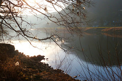 Elbe im Februar 2014