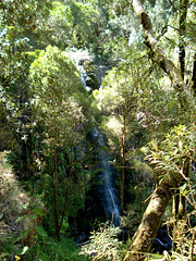 Erskine Falls