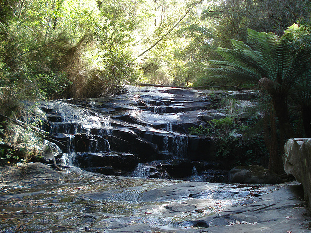 Cora Lynn Cascades_1