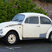 Boxing Day Beetle - 26 December 2013