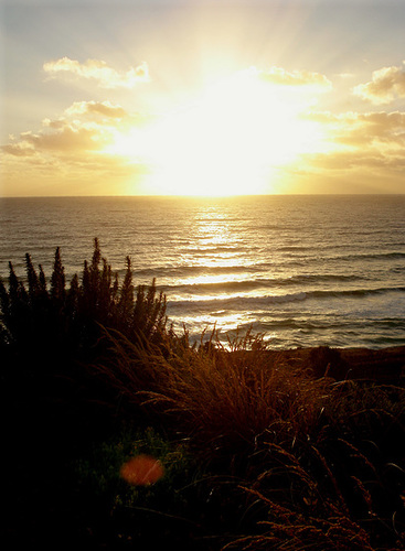 Sunset at the "Twelve Apostles"_7