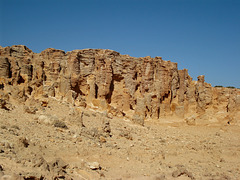 "Petrified forest", Cape Bridgewater_1