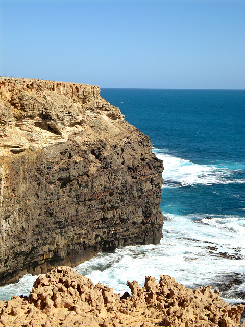 Cape Bridgewater