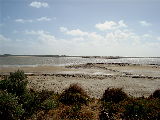 Jack's Point, Coorong