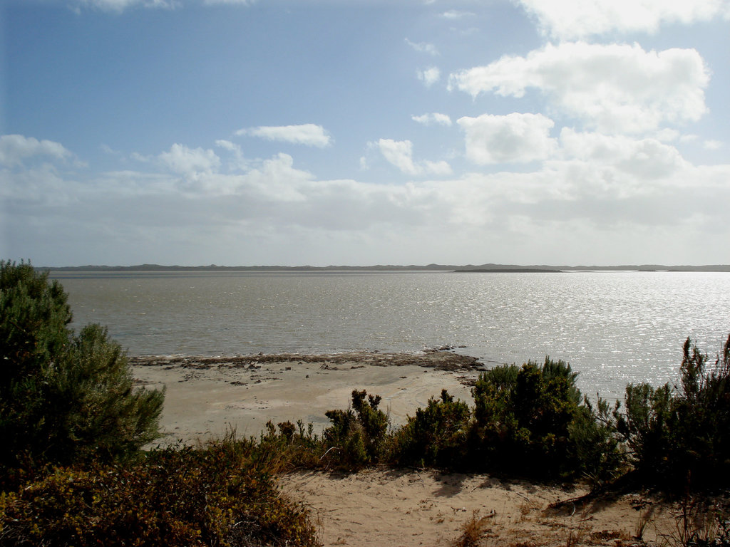 Coorong