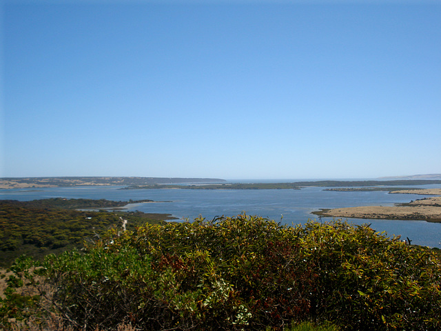 View from Prospect Hill North East towards Pelican Lagoon