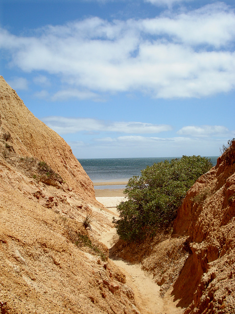 Red banks, walking down to the beach