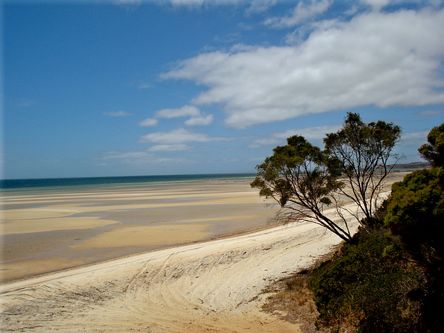 Nepean Bay_2