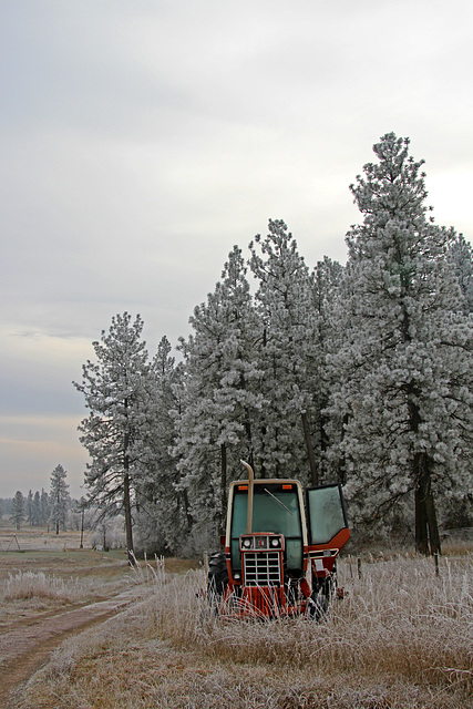 Frosty Day