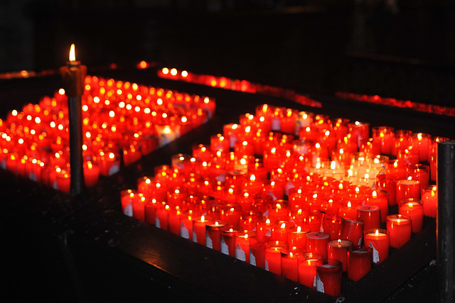 Lumières de la Cathédrale de Chartres