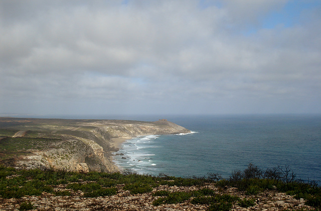 Remarkable Rocks in the distance