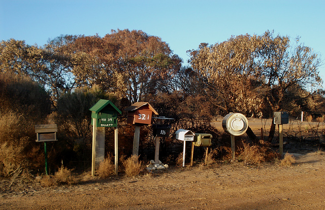 Letterboxes in the burnt scrub_1