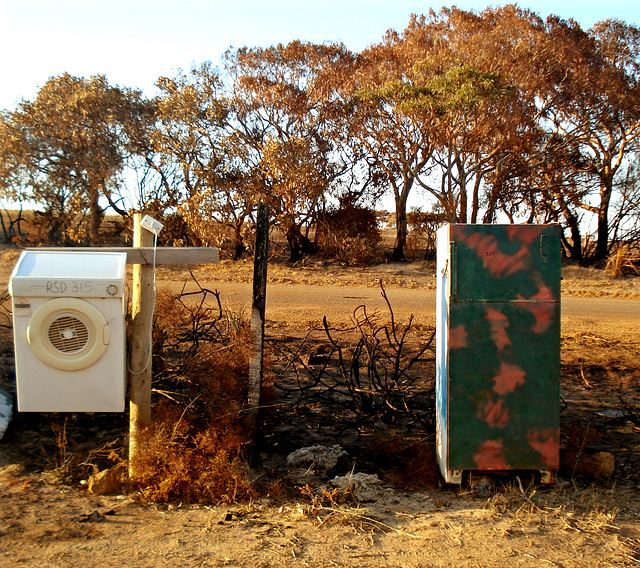 Letterboxes in the burnt scrub_2