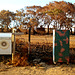 Letterboxes in the burnt scrub_2
