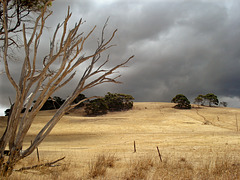 darkening clouds, Stokes Bay Road_1