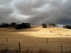 darkening clouds, Stokes Bay Road_2
