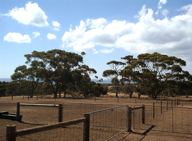 Paddocks with sea view