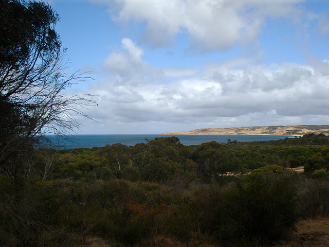 Lashmar Conservation Park