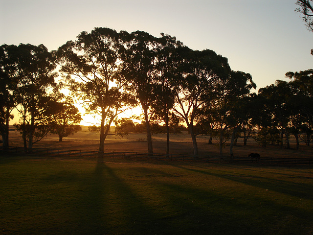 Sunset, Naracoorte_3