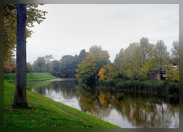 herfst in het park