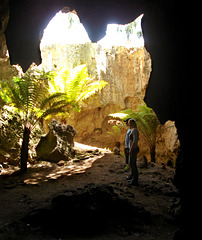 Wet Cave, Naracoorte