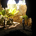 Wet Cave, Naracoorte