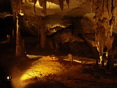 Alexandra Cave, Naracoorte_1