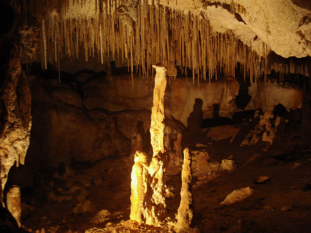 Alexandra Cave, Naracoorte_2